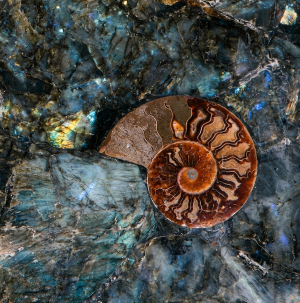 Labradorite